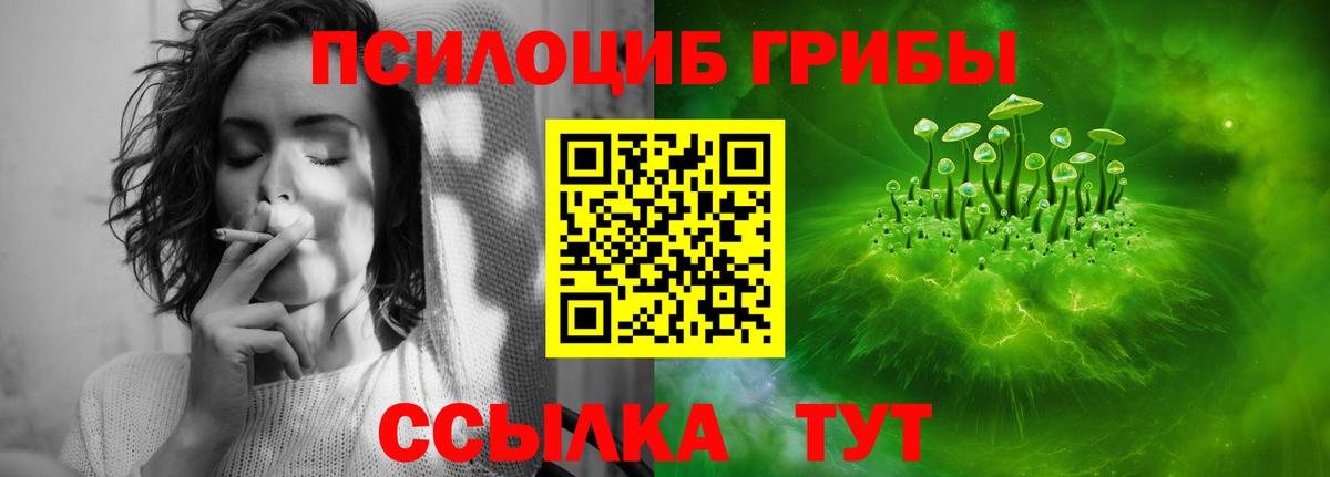 Псилоцибиновые грибы ЛСД Новокуйбышевск