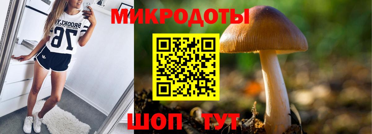 Галлюциногенные грибы мицелий  Галлюциногенные грибы мицелий  Вход с VPN  Новокуйбышевск 